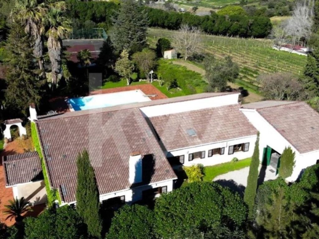 Luxury House for sale in Setúbal, 1 750 000 €, Photo 2