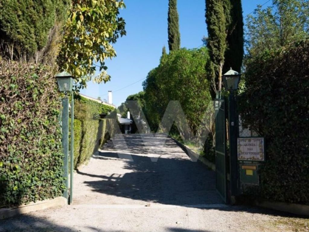 Luxury House for sale in Setúbal, 1 750 000 €, Photo 5