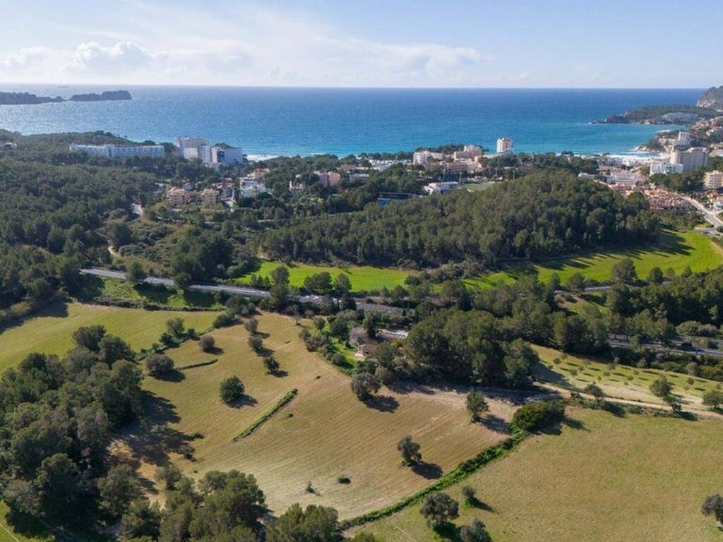 Luxury House for sale in Calvià, 1 200 000 €, Photo 3