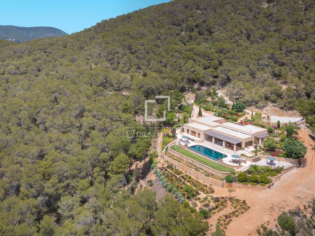 Maison de luxe à vendre à San Carlos, 19 750 000 €, Photo 3