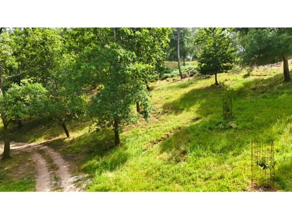 Maison de luxe à vendre à Alcobaça, 850 000 €, Photo 2