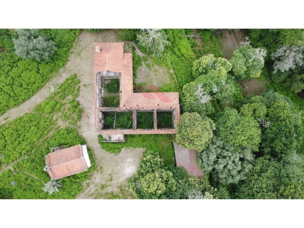 Maison de luxe à vendre à Arcos de Valdevez, 1 600 000 €, Photo 5