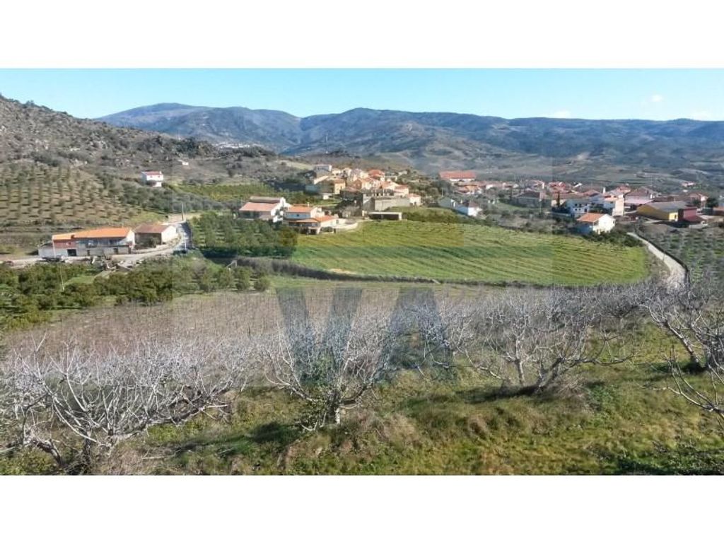 Maison de luxe à vendre à Vila Flor, 1 250 000 €, Photo 2