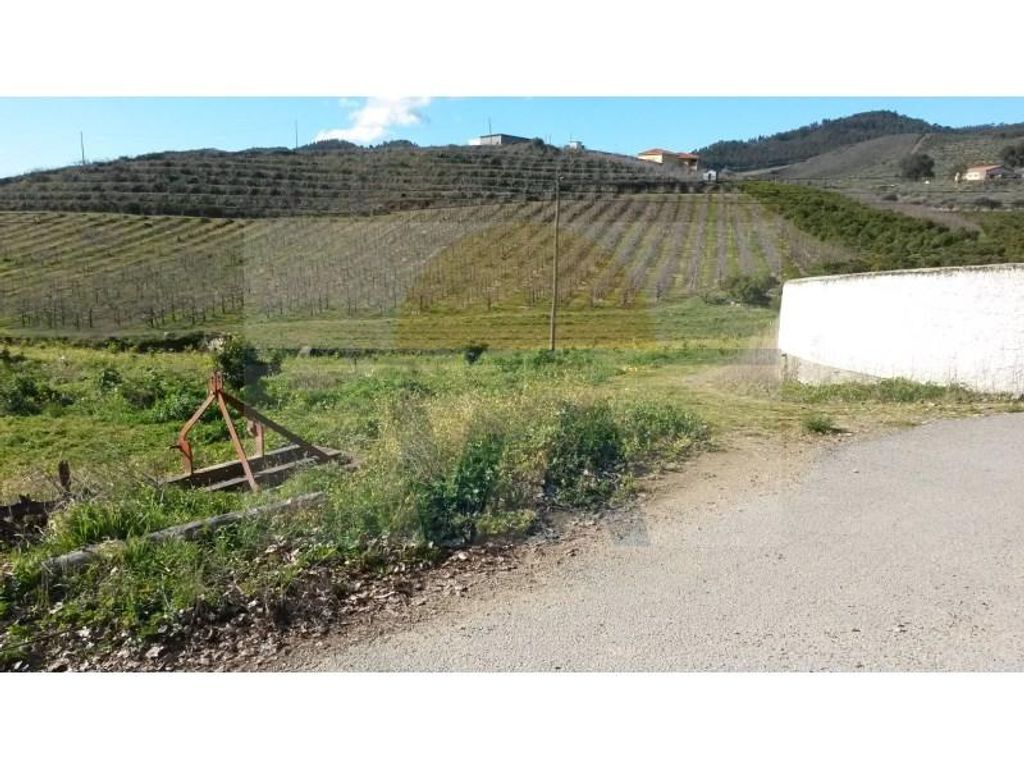 Maison de luxe à vendre à Vila Flor, 1 250 000 €, Photo 6