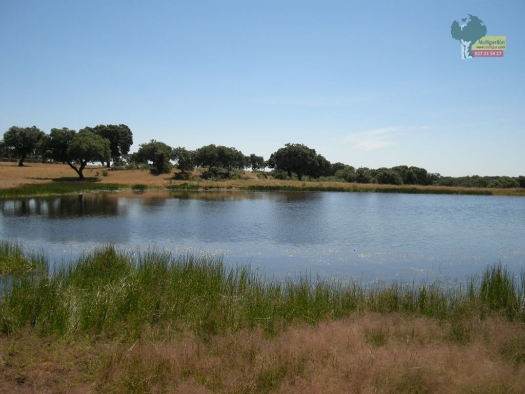 Luxury House for sale in Salorino, 4 500 000 €, Photo 4