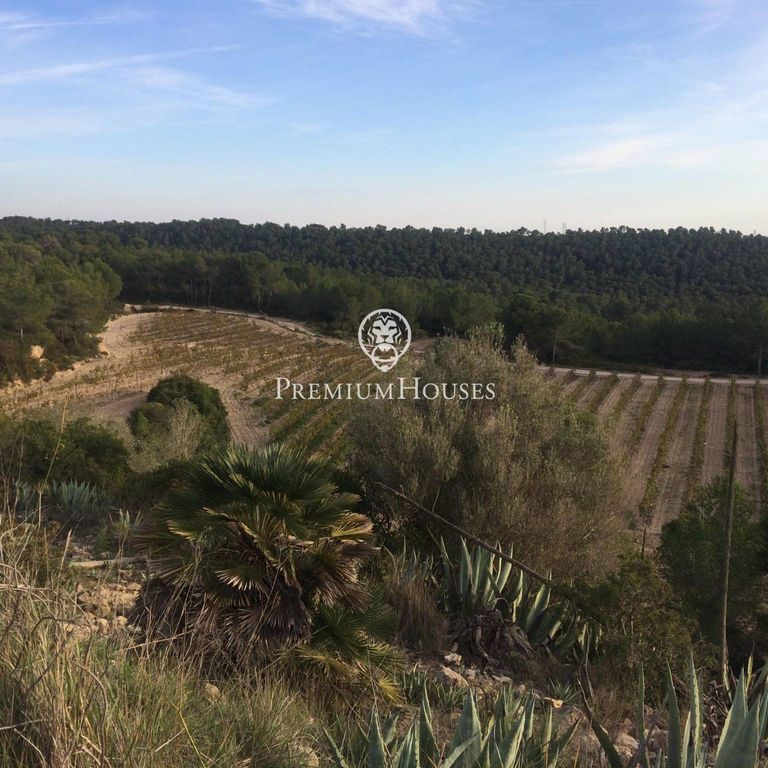 Maison de luxe à vendre à Castellet, 2 200 000 €, Photo 4