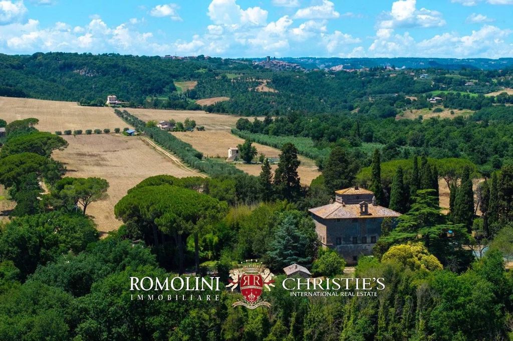 Maison de luxe à vendre à Baschi, 5 500 000 €, Photo 1