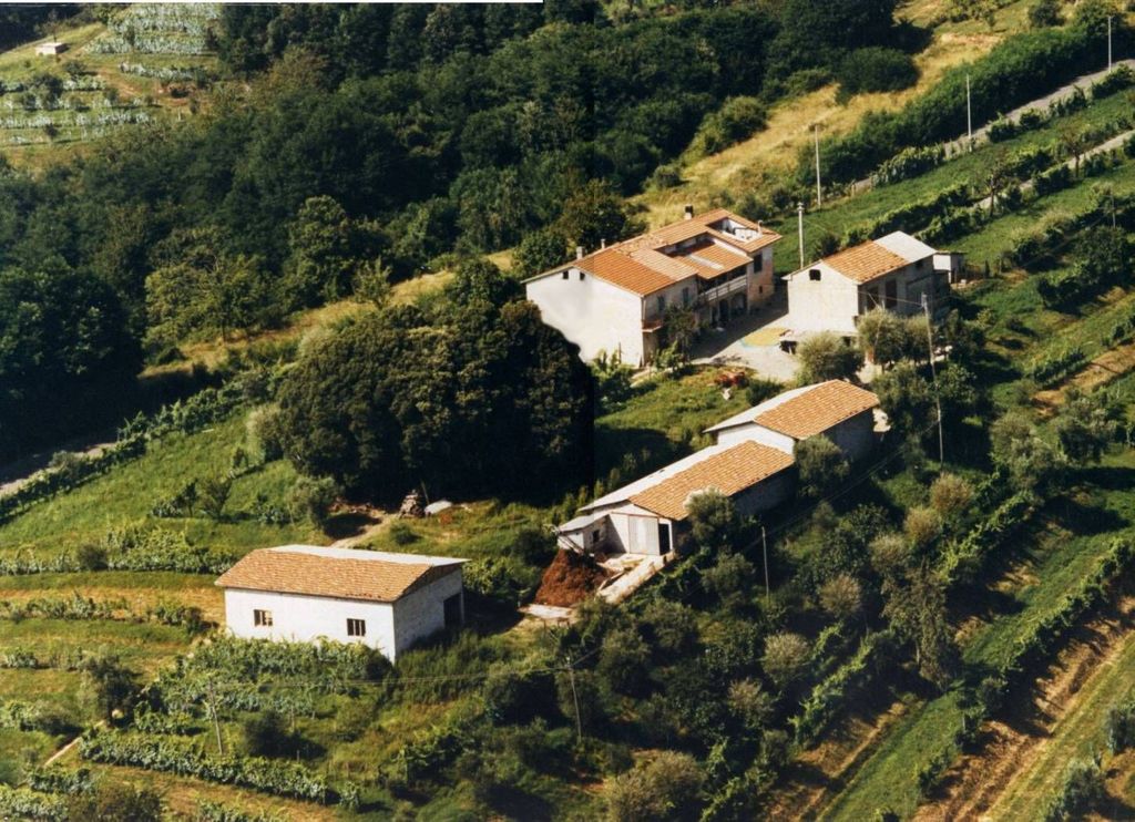 Maison de luxe à vendre à Fivizzano, 850 000 €, Photo 1