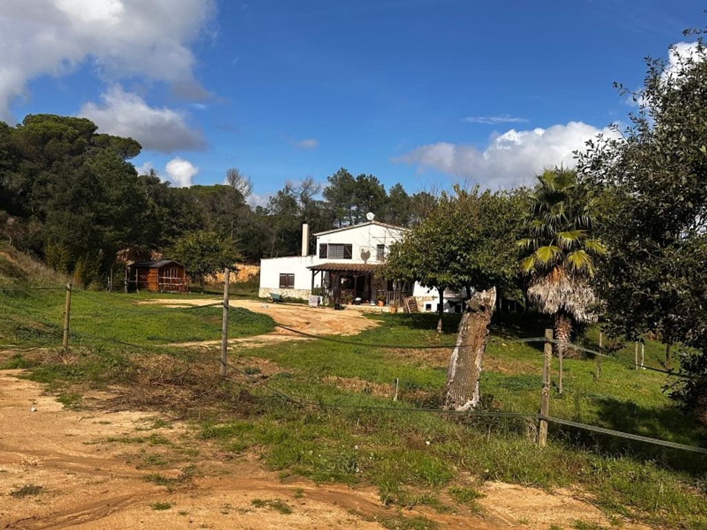 Maison de luxe à vendre à Maçanet de La Selva, 498 000 €, Photo 4