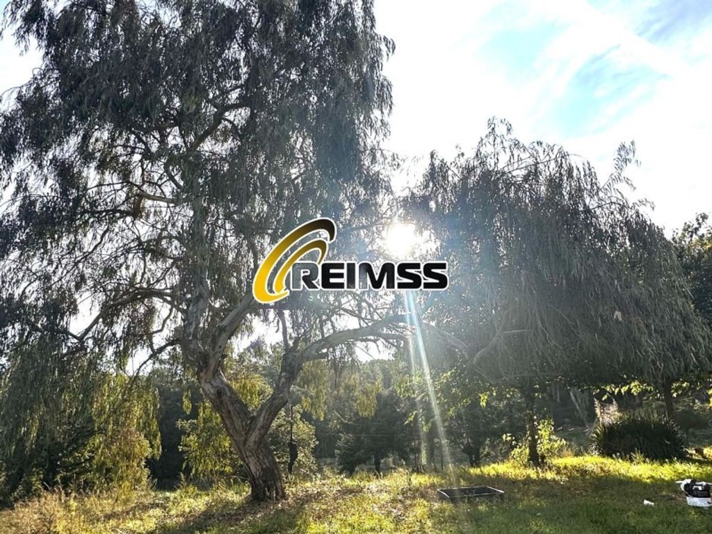 Maison de luxe à vendre à Maçanet de La Selva, 498 000 €, Photo 6