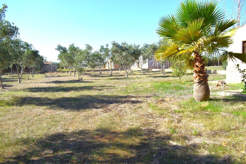 Luxury House for sale in Muro, 415 000 €, Photo 6