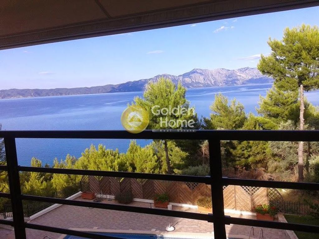 Maison de luxe à vendre à Malesína, 800 000 €, Photo 3