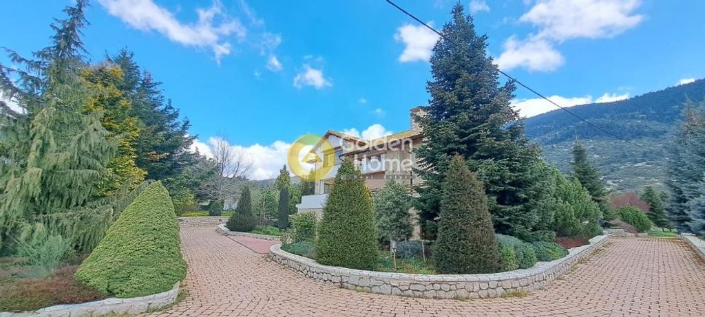 Maison de luxe à vendre à Aráchova, 3 000 000 €, Photo 7