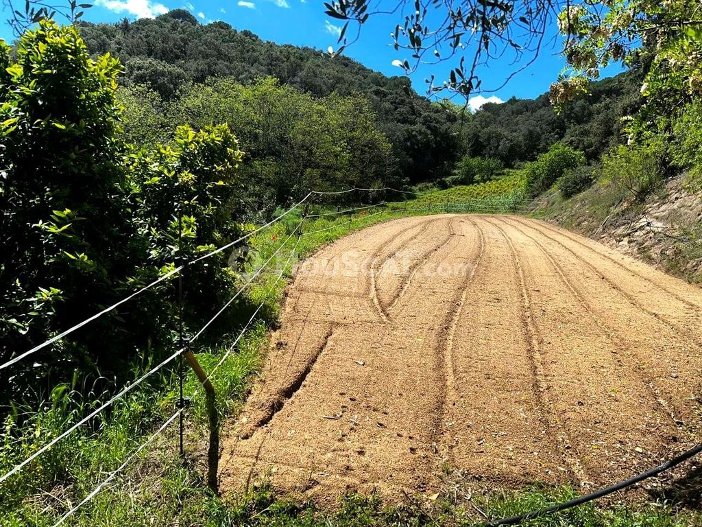 Maison de luxe à vendre à Sant Iscle de Vallalta, 424 000 €, Photo 3
