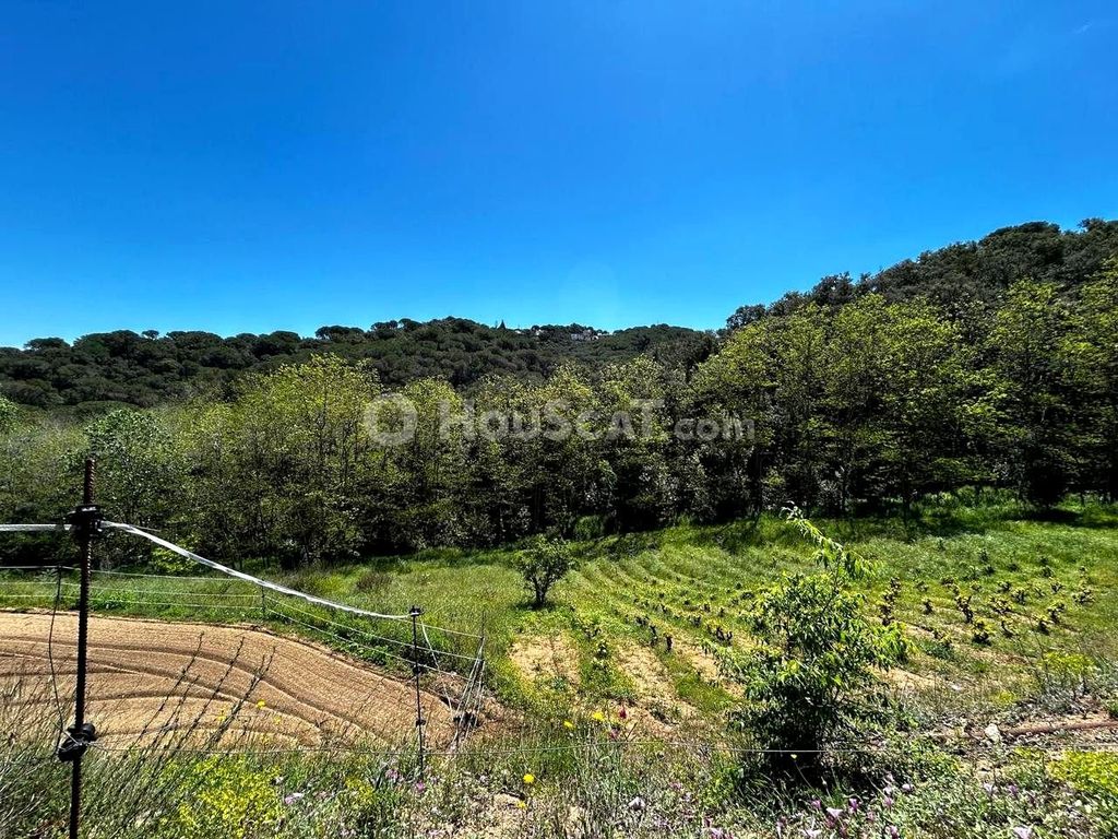 Maison de luxe à vendre à Sant Iscle de Vallalta, 424 000 €, Photo 5