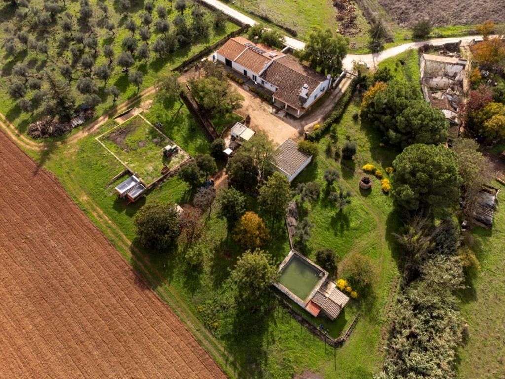 Maison de luxe à vendre à Borba, 600 000 €, Photo 2