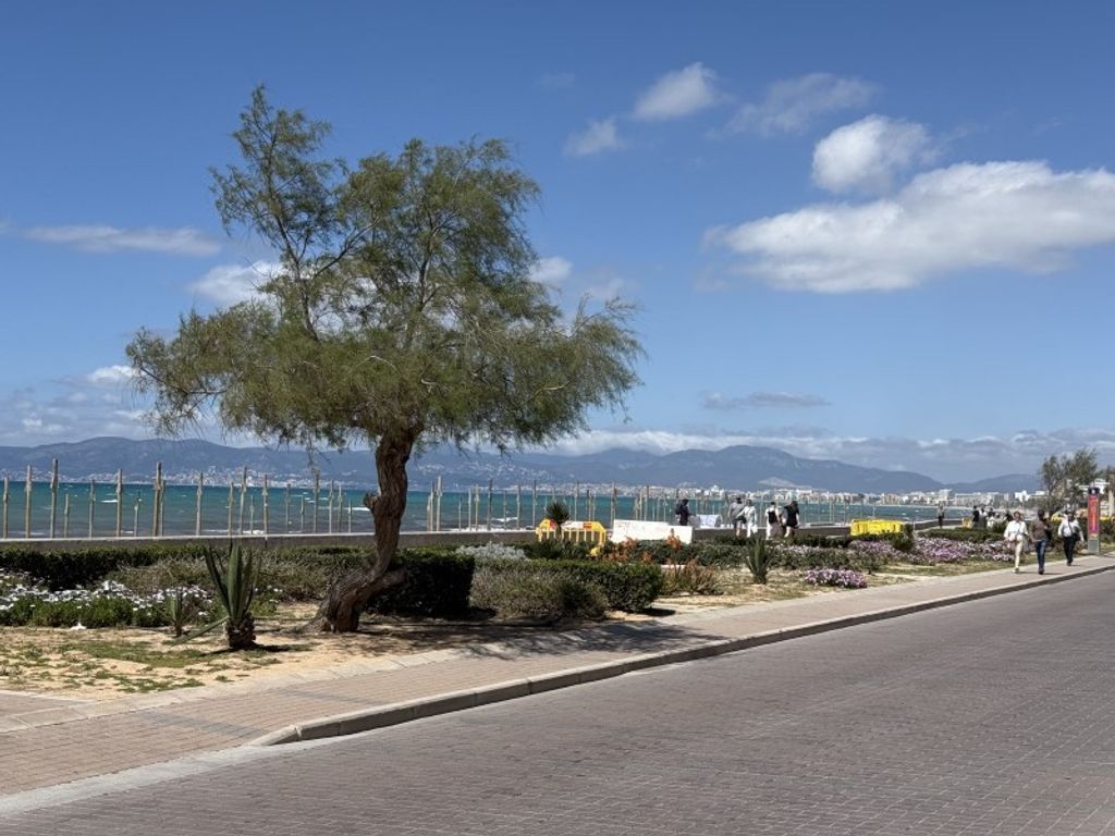 Luxury House for sale in Palma, 980 000 €, Photo 5