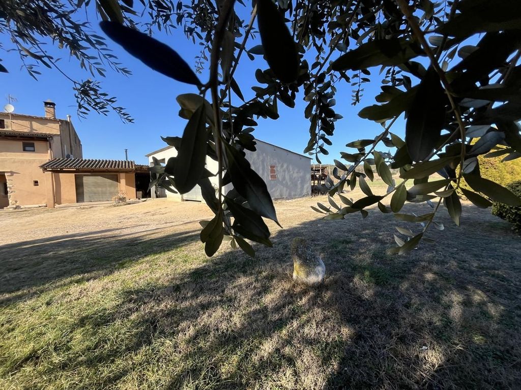 Maison de luxe à vendre à Sant Gregori, 739 000 €, Photo 4