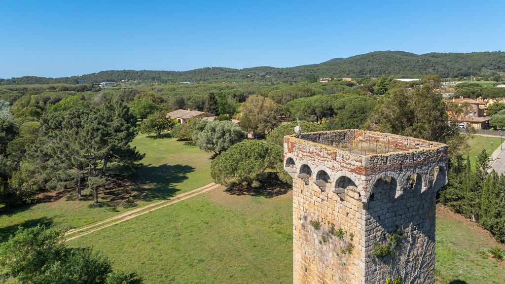 Maison de luxe à vendre à Mont-Ras, 3 950 000 €, Photo 5