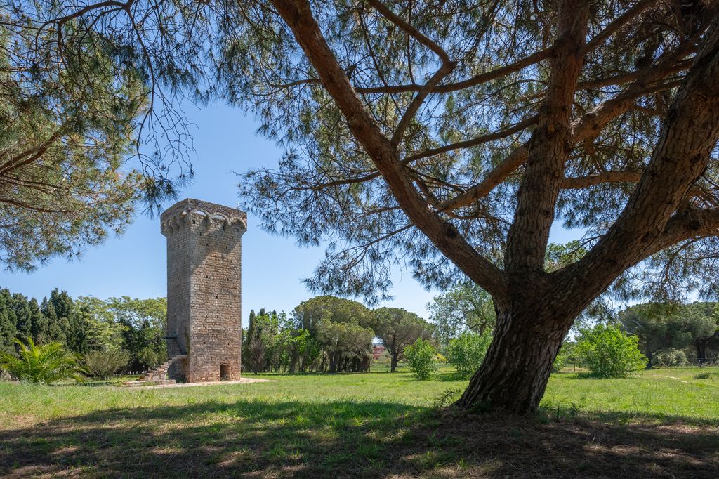 Maison de luxe à vendre à Mont-Ras, 3 950 000 €, Photo 6