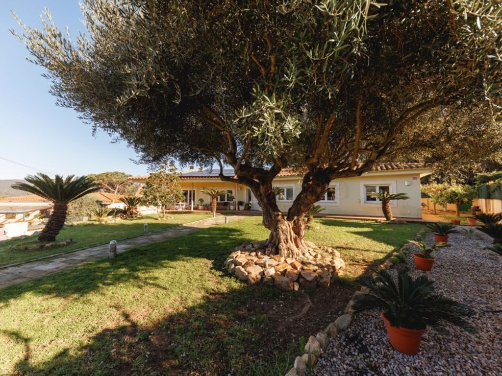 Maison de luxe à vendre à Santa Cristina d'Aro, 765 000 €, Photo 3