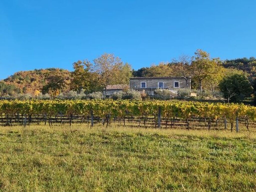 Maison de luxe à vendre à Cerovlje, 620 000 €, Photo 4