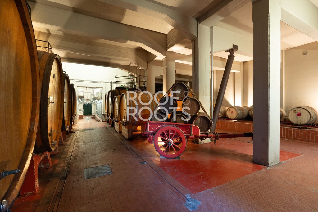 Maison de luxe à vendre à Radda In Chianti, 12 300 000 €, Photo 7