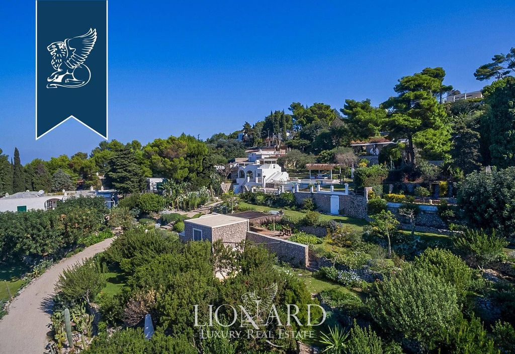Maison de luxe à vendre à Anacapri, 8 000 009 €, Photo 6