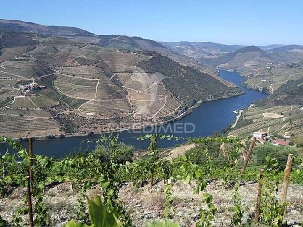 Luxury House for sale in Tabuaço, 760 000 €, Photo 5