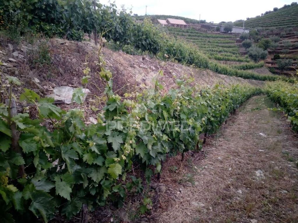 Luxury House for sale in Tabuaço, 760 000 €, Photo 6