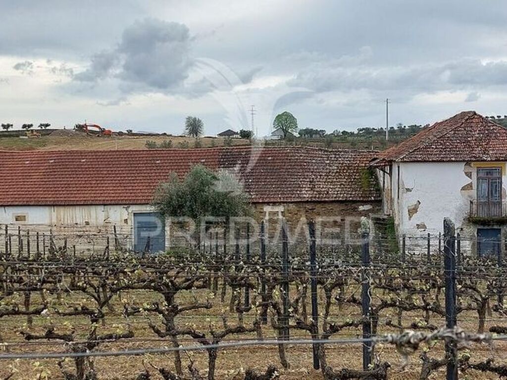 Maison de luxe à vendre à Alijó, 700 000 €, Photo 6