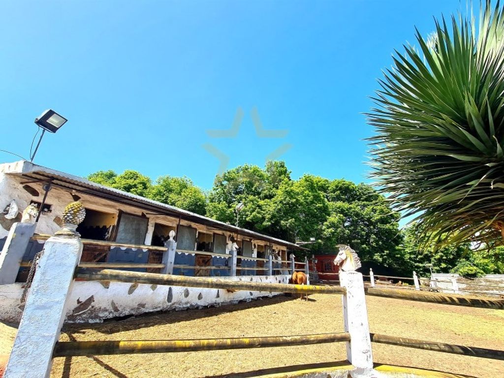 Maison de luxe à vendre à La Orotava, 750 000 €, Photo 2