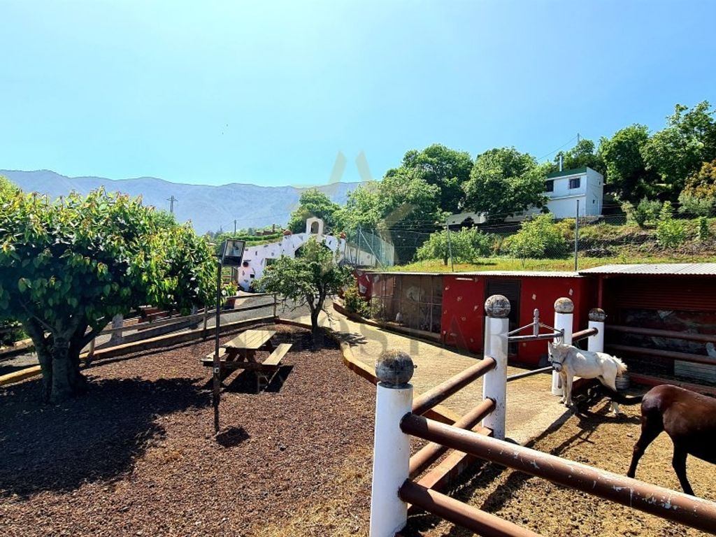 Maison de luxe à vendre à La Orotava, 750 000 €, Photo 3