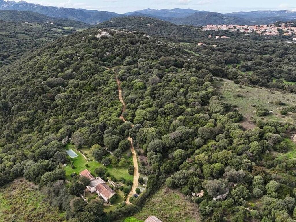 Maison de luxe à vendre à Luogosanto, 799 000 €, Photo 5
