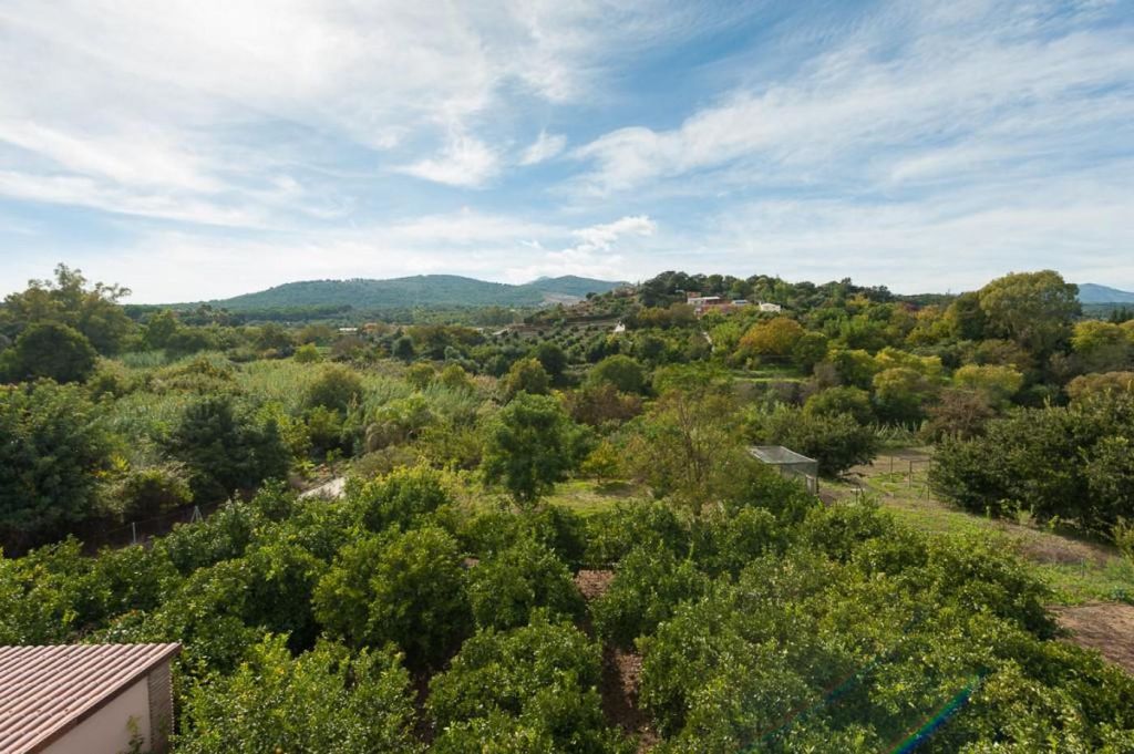 Maison de luxe à vendre à Coín, 695 000 €, Photo 4