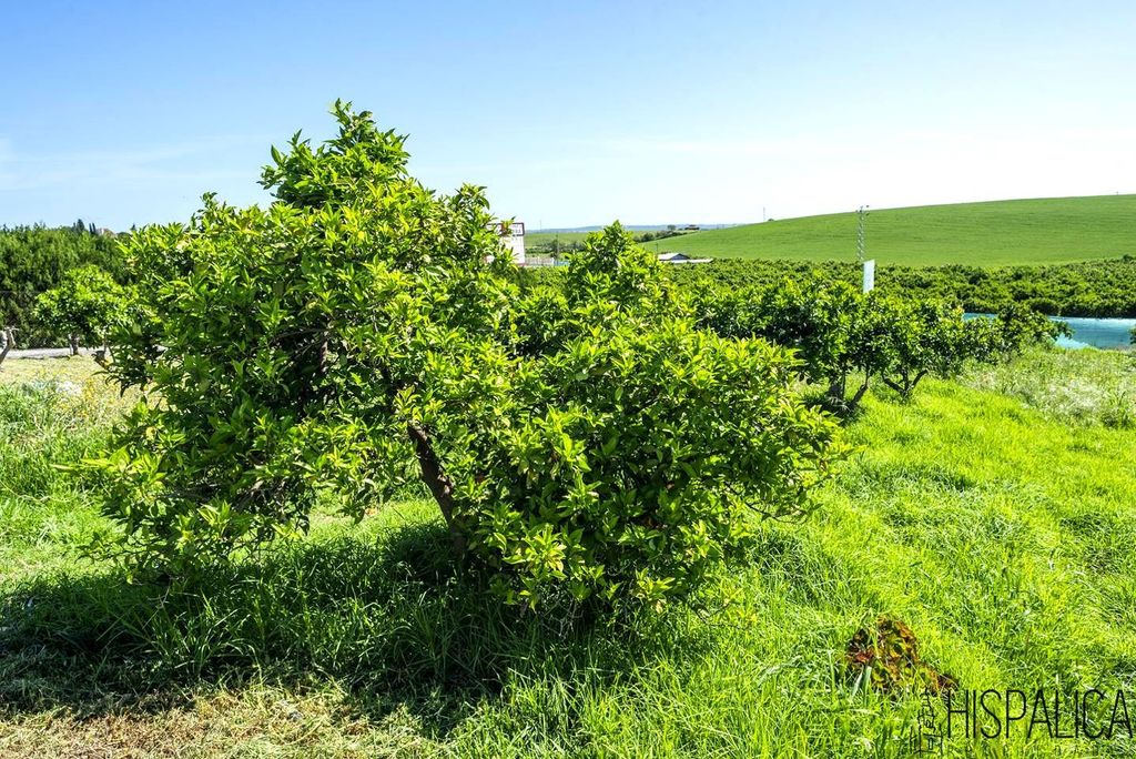 Maison de luxe à vendre à Cantillana, 400 000 €, Photo 5