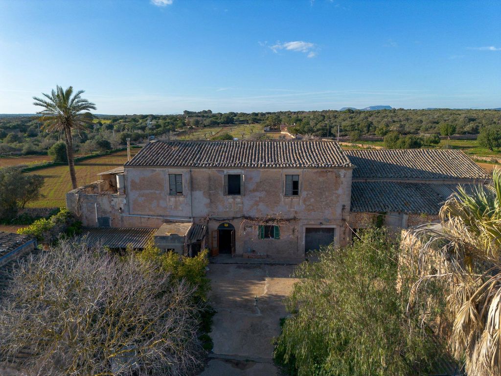 Maison de luxe à vendre à Campos, 1 100 000 €, Photo 2