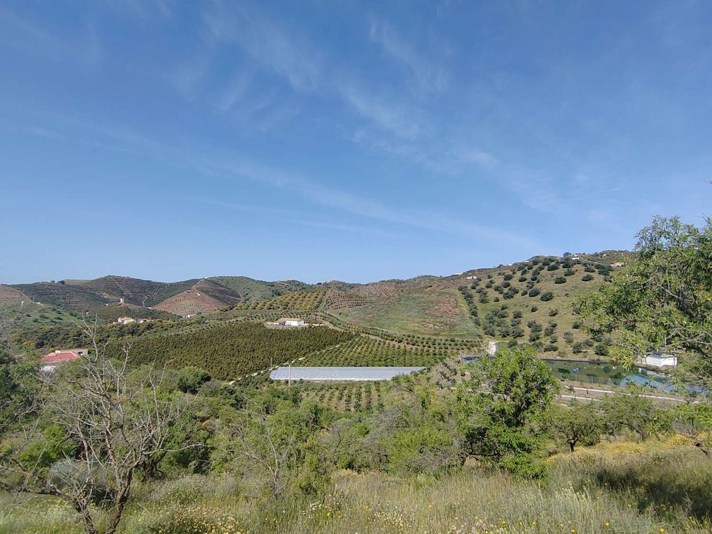 Maison de luxe à vendre à Almayate Alto, 1 600 000 €, Photo 4