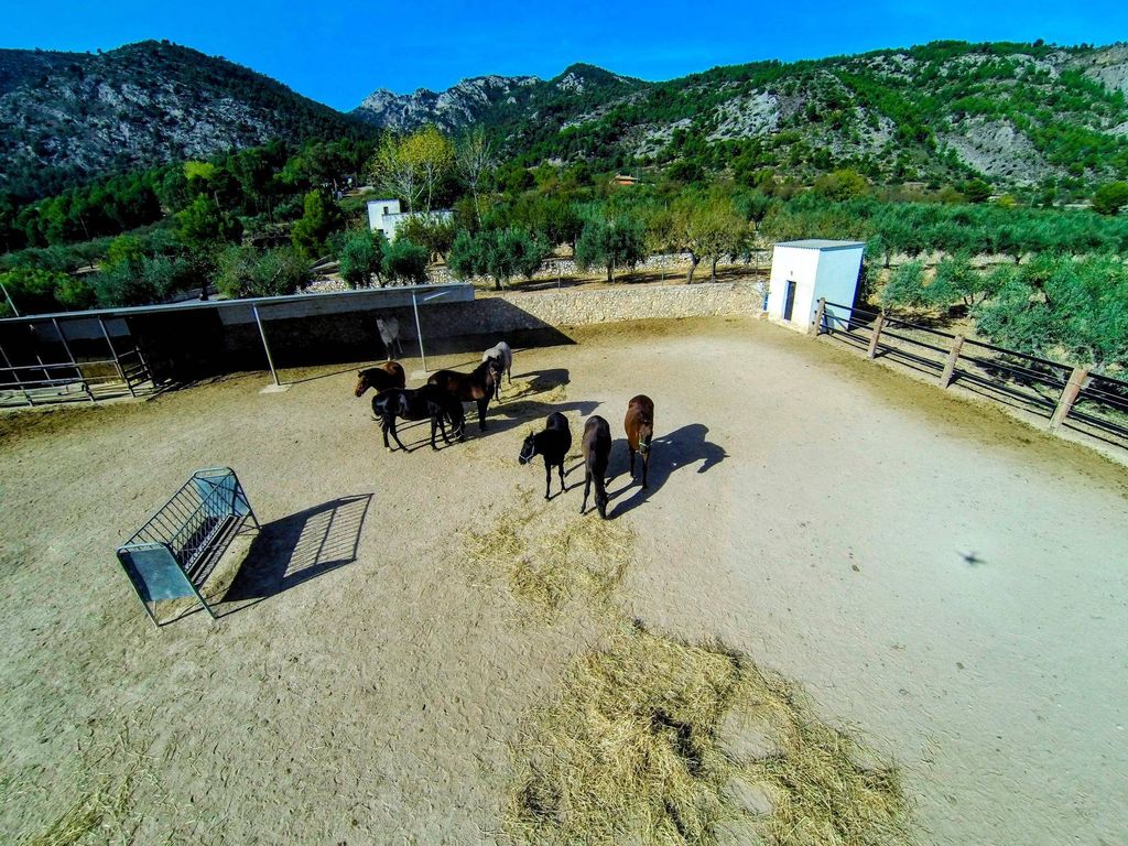 Maison de luxe à vendre à Muro Del Alcoy, 2 000 000 €, Photo 6