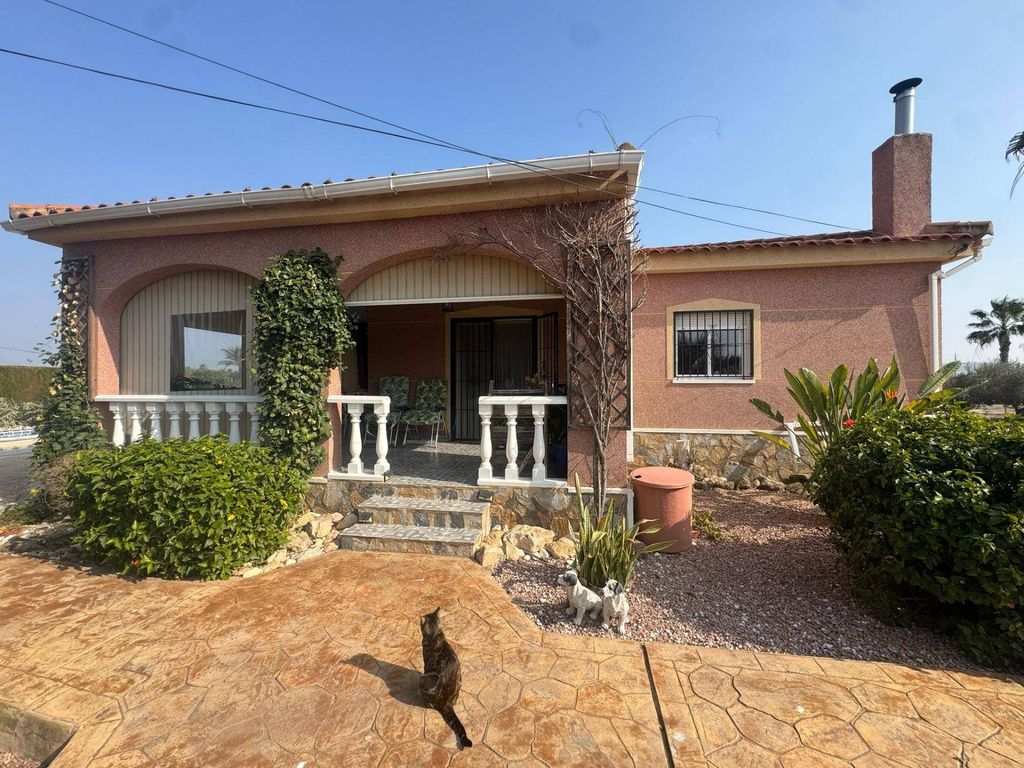 Maison de luxe à vendre à Daya Vieja, 450 000 €, Photo 1