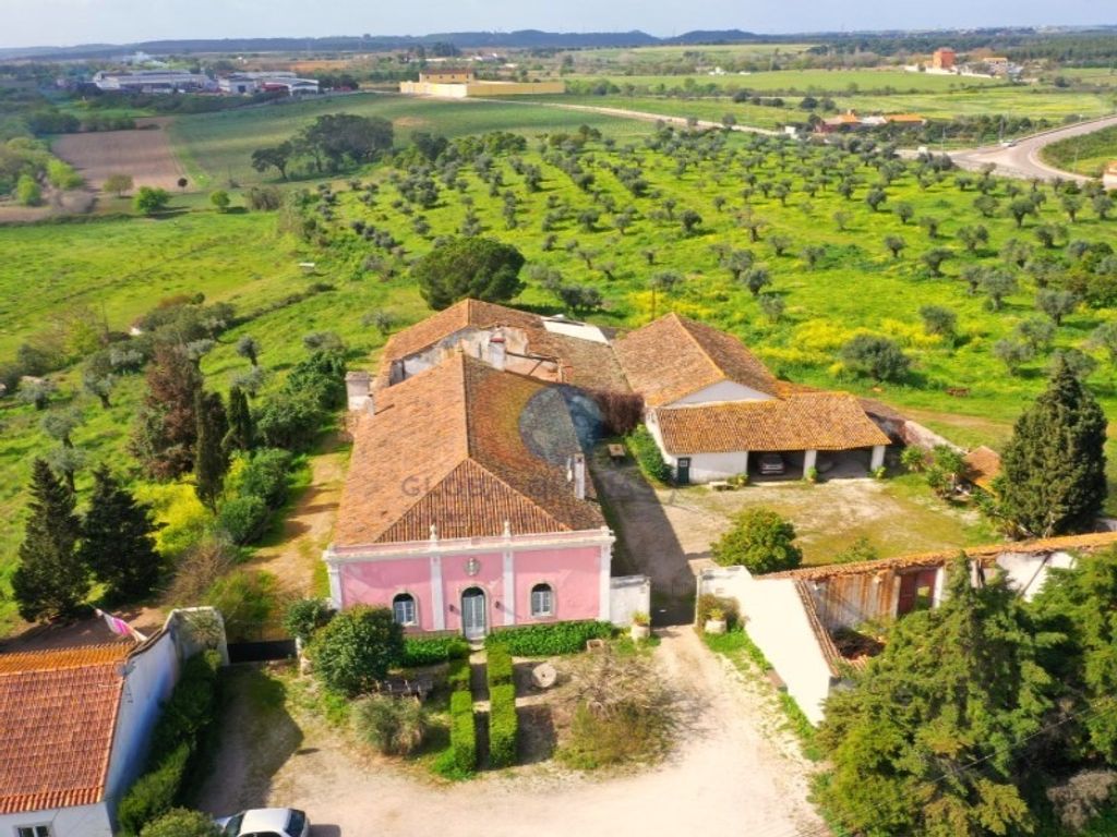 Maison de luxe à vendre à Torres Novas, 2 000 000 €, Photo 1
