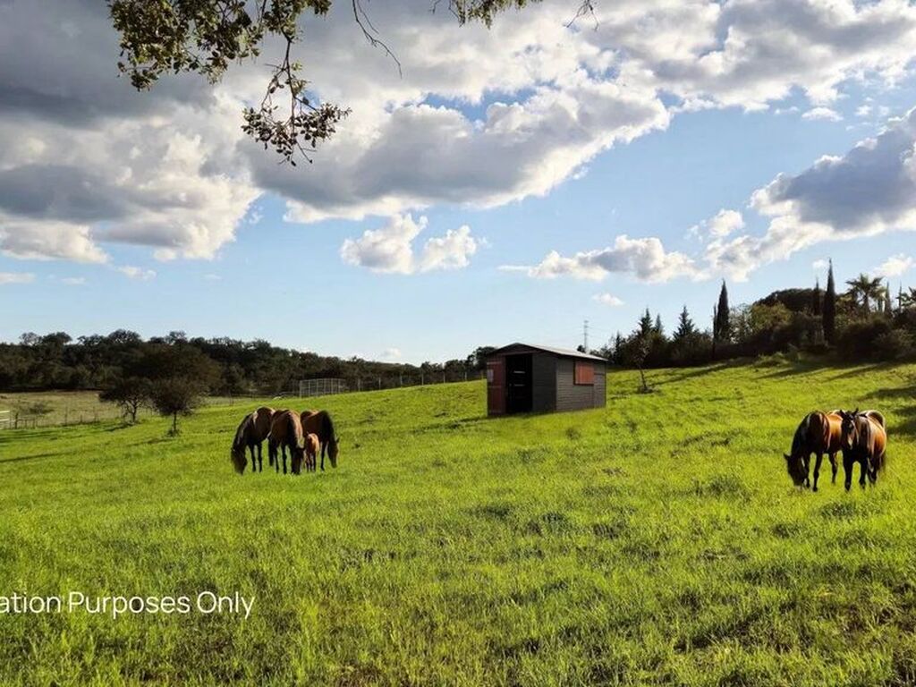 Maison de luxe à vendre à Ourique, 675 000 €, Photo 7