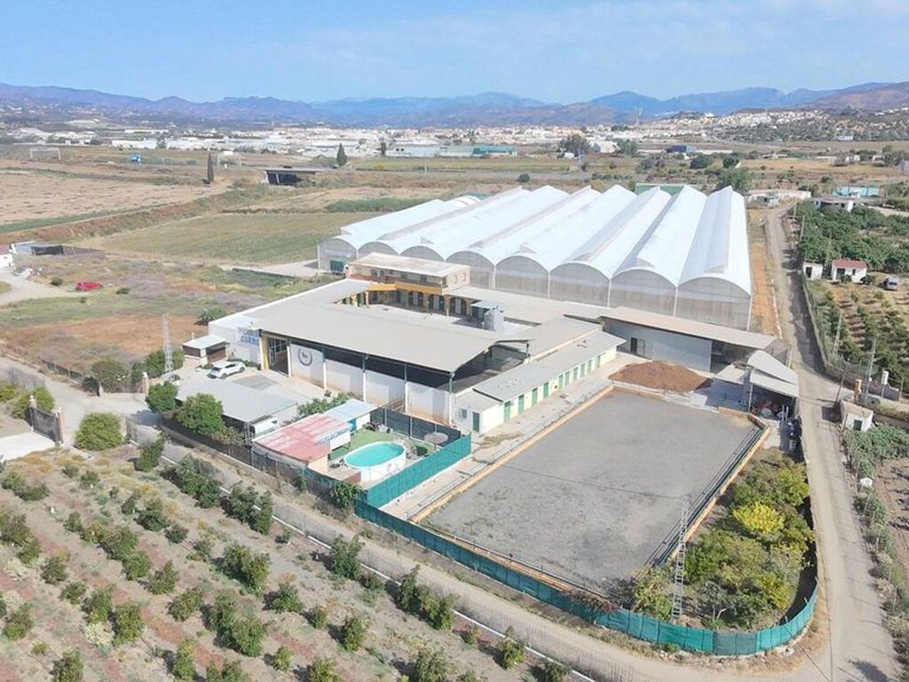 Maison de luxe à vendre à Vélez-Málaga, 890 000 €, Photo 5