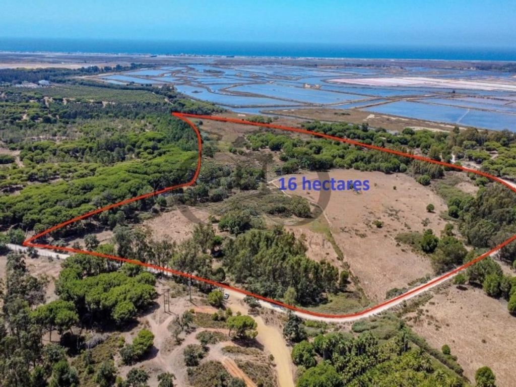 Luxury House for sale in Faro, 2 650 000 €, Photo 4
