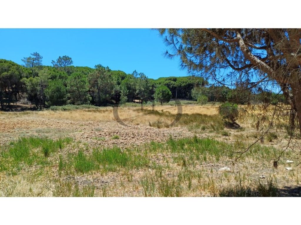 Luxury House for sale in Faro, 2 650 000 €, Photo 7