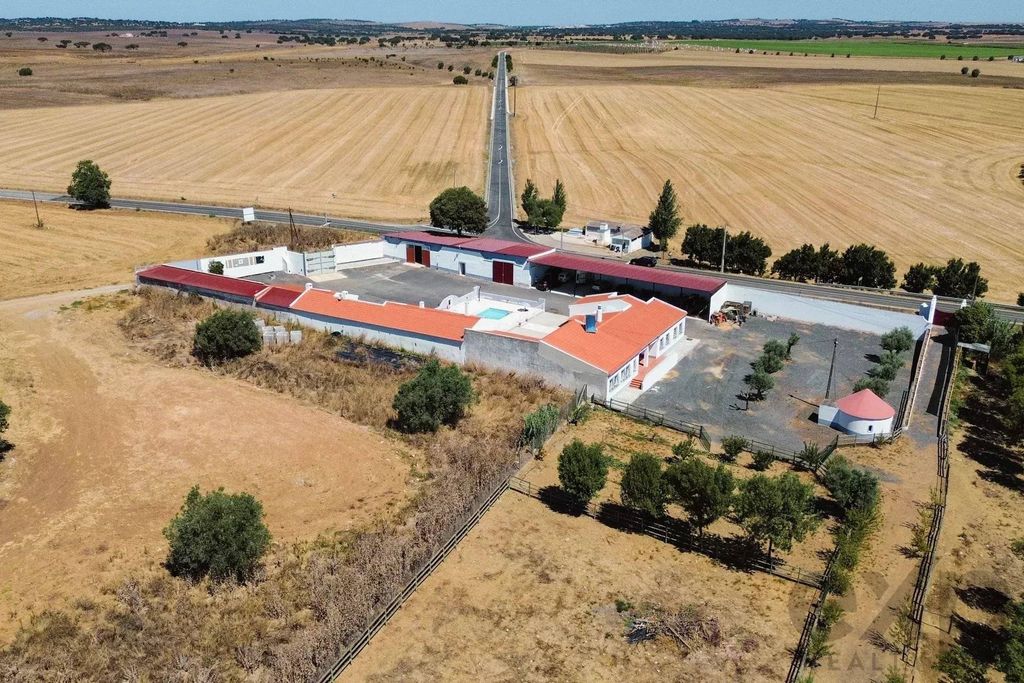 Maison de luxe à vendre à Beja, 1 600 000 €, Photo 4