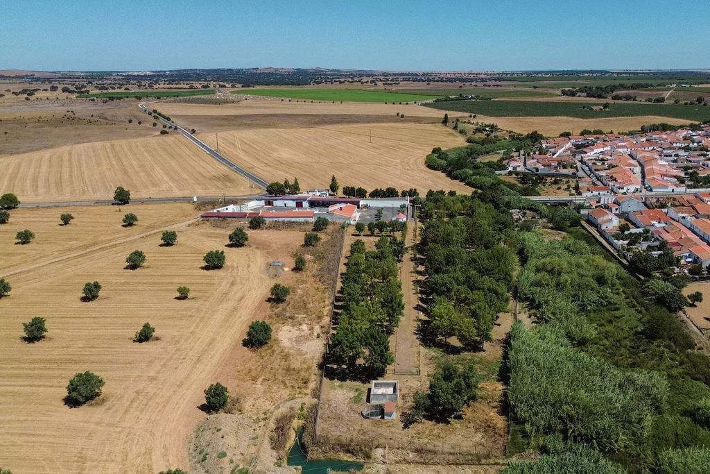 Maison de luxe à vendre à Beja, 1 600 000 €, Photo 5