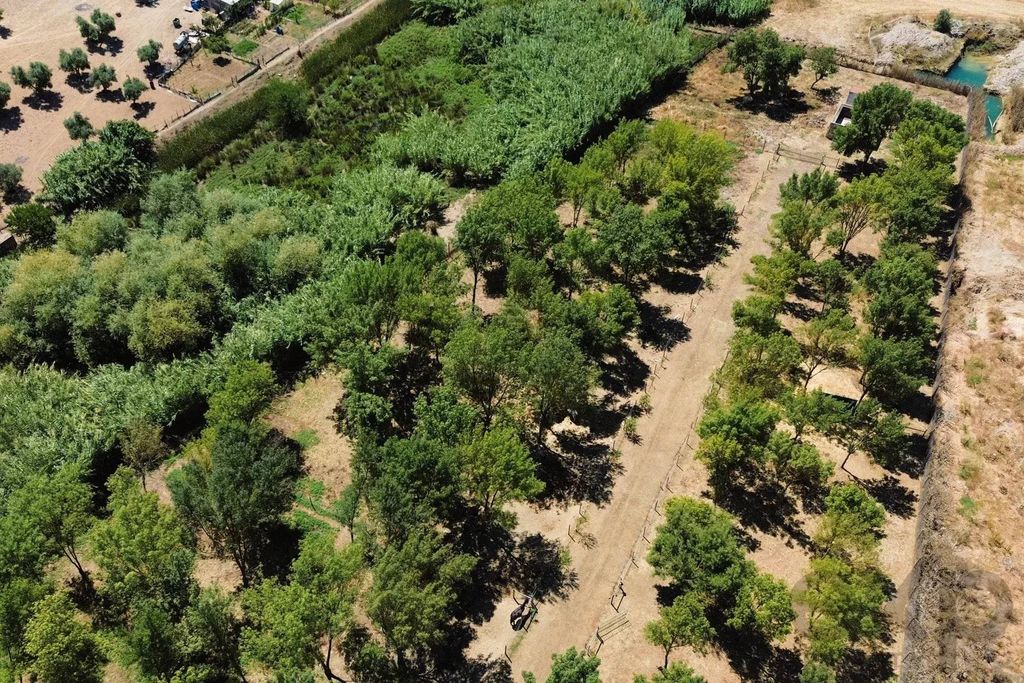 Maison de luxe à vendre à Beja, 1 600 000 €, Photo 7