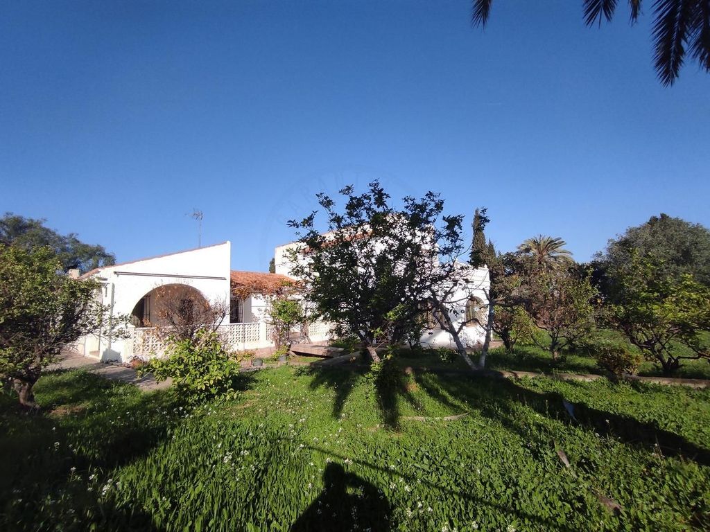 Maison de luxe à vendre à Torrevieja, 469 950 €, Photo 5