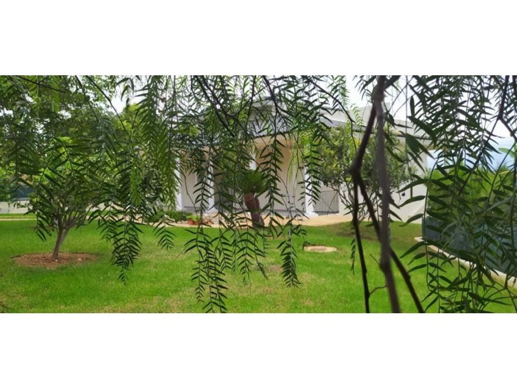 Maison de luxe à vendre à Picassent, 740 000 €, Photo 5